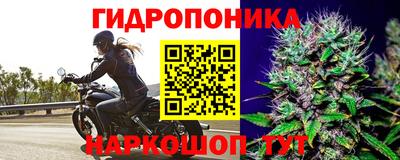 дживик Кизилюрт